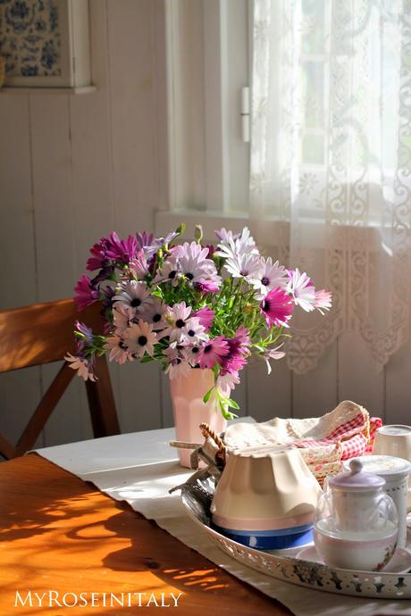 Un bouquet di margherite africane