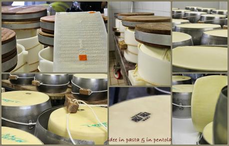 Parmigiano Reggiano: una straordinaria sintesi di cultura e natura. Anteprima Caseifici Aperti grazie al Consorzio del Parmigiano Reggiano
