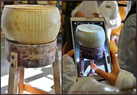 Parmigiano Reggiano: una straordinaria sintesi di cultura e natura. Anteprima Caseifici Aperti grazie al Consorzio del Parmigiano Reggiano