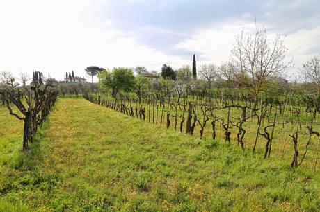 del paesaggio toscano, così per parlarne