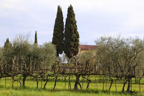 del paesaggio toscano, così per parlarne