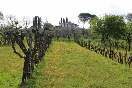 del paesaggio toscano, così per parlarne