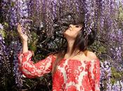 Wisteria ....