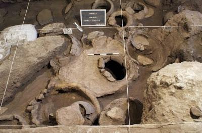 Scoperta una cantina per la conservazione del vino del 4000 a.C.