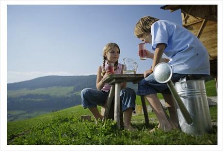 5 buoni motivi per fare una vacanza in un maso dell’Alto Adige