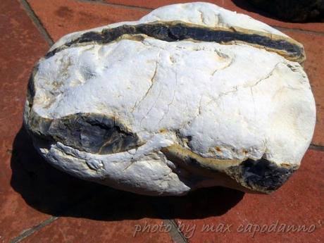 Positano:CURIOSITA' tra marzo e aprile 2015