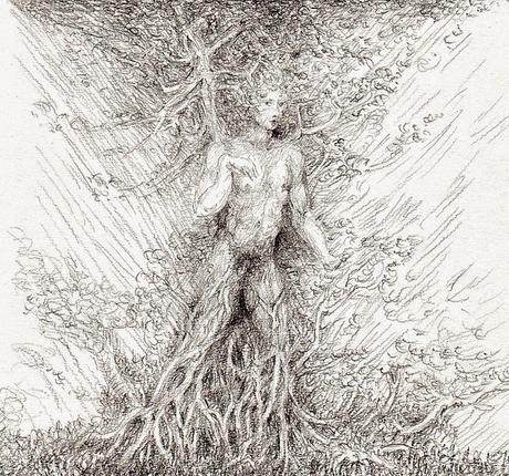 L'uomo albero