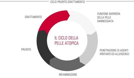 il ciclo della pelle atopica