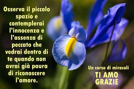 Il mondo che tu vedi non esiste, perché il luogo dove lo percepisci non è reale. Parte 2.