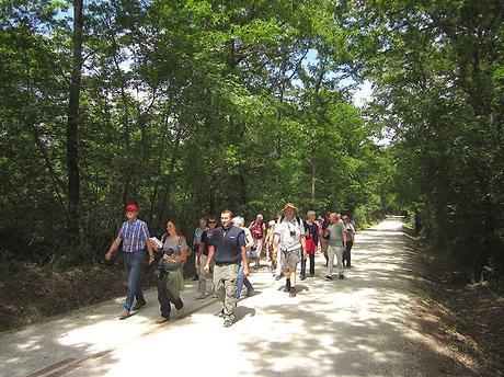 Open day nel Padule di Fucecchio