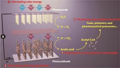 Un nuovo sistema di fotosintesi artificiale può trasformare CO2 in carburante