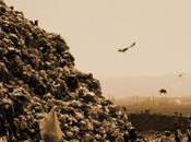 Film stasera WASTE LAND L’ARTE RICICLO (merc. apr. 2015, chiaro)