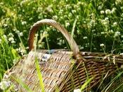 Bentornato picnic!