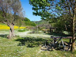 La Selva de Gallignà