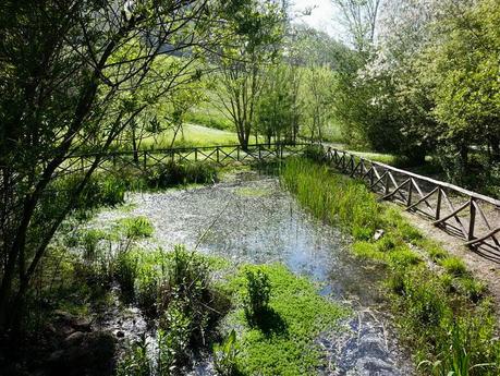 La Selva de Gallignà