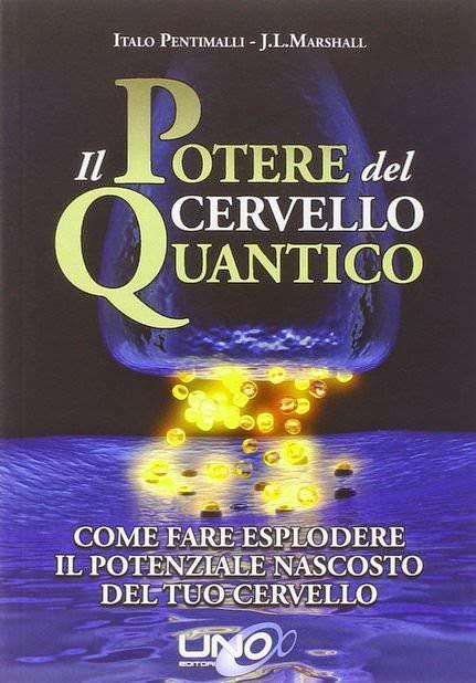 Il cervello quantico (libro)