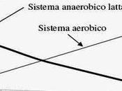 Sistema aerobico