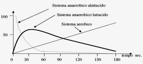 Sistema aerobico