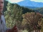 morte della vegetazione