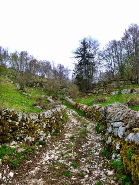 Trekking and lunching on Lessinia mountains (25/4, 2015)