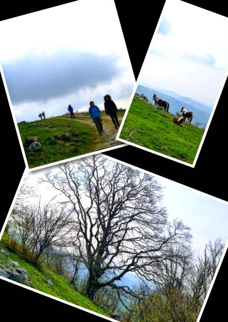 Trekking and lunching on Lessinia mountains (25/4, 2015)