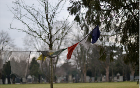 cimitero_centrale_vienna_2