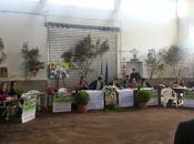 Osservazioni sulla SS613 Lecce sino allo svincolo Squinzano Centro Urbano aprile 2015