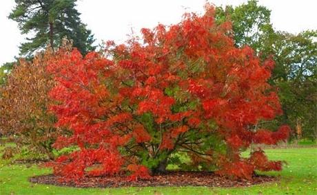 Incantesimi di protezione - Abracadabra
