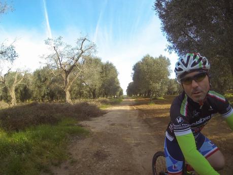 Osservazioni effettuate in un’escursione in bicicletta da Emilio Sanapo a Supersano -valle dell'Idro - Otranto e ritorno il giorno 16 aprile 2015