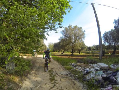 Osservazioni effettuate in un’escursione in bicicletta da Emilio Sanapo a Supersano -valle dell'Idro - Otranto e ritorno il giorno 16 aprile 2015