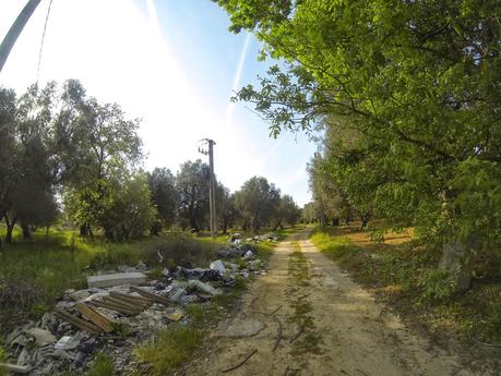 Osservazioni effettuate in un’escursione in bicicletta da Emilio Sanapo a Supersano -valle dell'Idro - Otranto e ritorno il giorno 16 aprile 2015