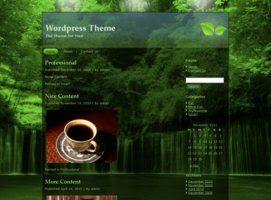 Rain Forest Blog Theme - The Nature Environment