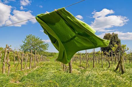 Verde su Verde by Alessandro Pinna, on Flickr Verde su Verde by Alessandro Pinna, on Flickr