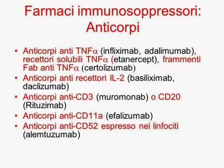 IL-2 e farmaci anticorpali efficaci contro il melanoma adesso nei topi