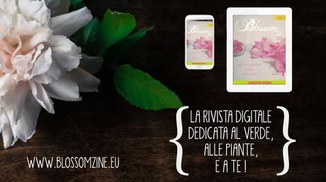 blossom zine le rose inglesi e il cigno