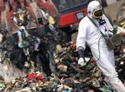 Terra Fuochi, analizzati prodotti agricoli. Ecco primi risultati