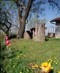 Sulle colline di Vinchio, Pic Nic tra Barbera e paesaggio