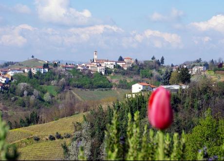 Vinchio e vigneti