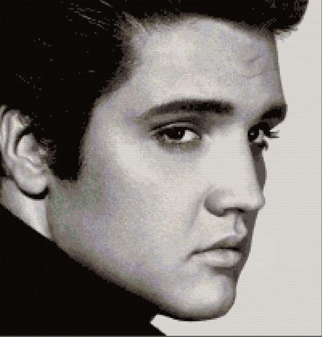 Schema per il punto croce: Elvis Presley_2