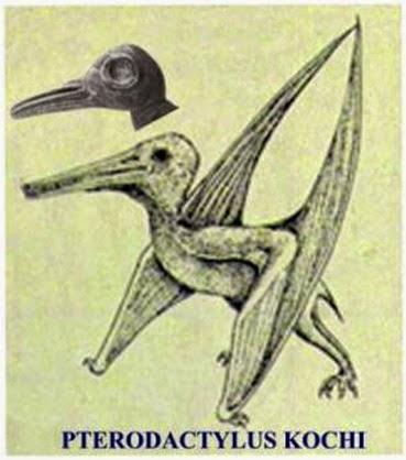 Pterosauri in epoca moderna?