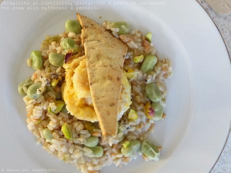 Cerealotto al cipollotto, pistacchio e pesto di cardamomo con rosa allo zafferano e pecorino, per un vecchio concorso