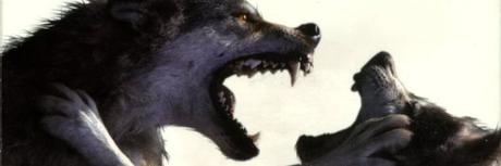 wolfheart