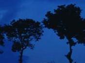Pianeta Azzurro