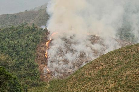 Arunachal Pradesh: da Daporijo ad Aalo