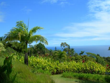 Maui e Hawaii: il viaggio continua