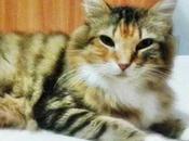 Thelma