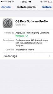 iOS Beta