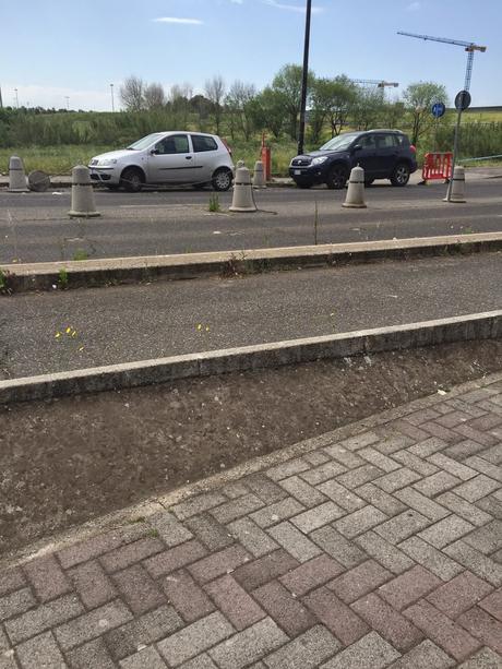 Parcheggio di Tor Vergata. Il grande reportage in 40 foto per una situazione completamente fuori controllo