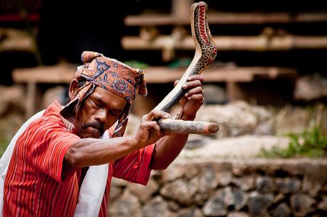 Toraja-funeral-ceremony