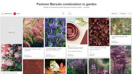 blossom zine marsala board pinterest1